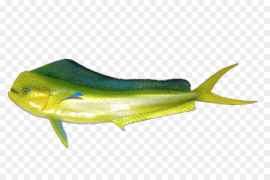 Los Peces，Volquete PNG