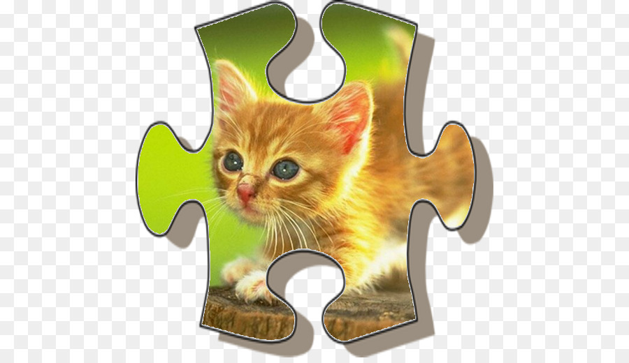 Gato，Gatito PNG