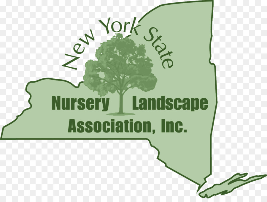 El Estado De Nueva York Vivero Paisaje Association Inc，Árbol PNG