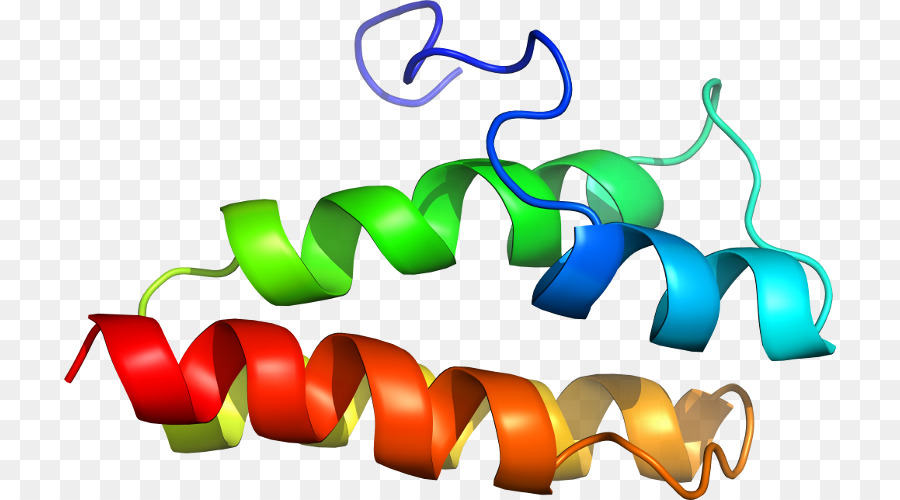 Hélice De Proteína，Molécula PNG