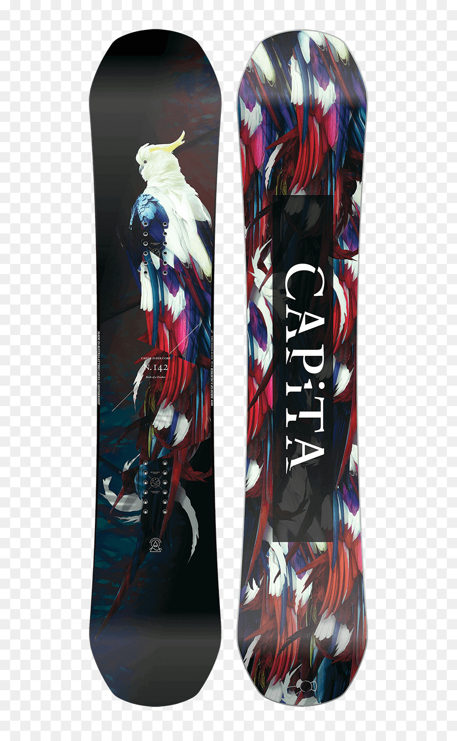 Aves，Tabla De Snowboard PNG