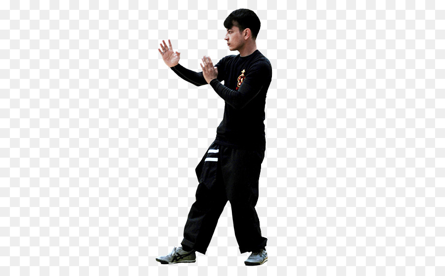 Integrativa Wing Chun Phoenix，Wing Chun PNG