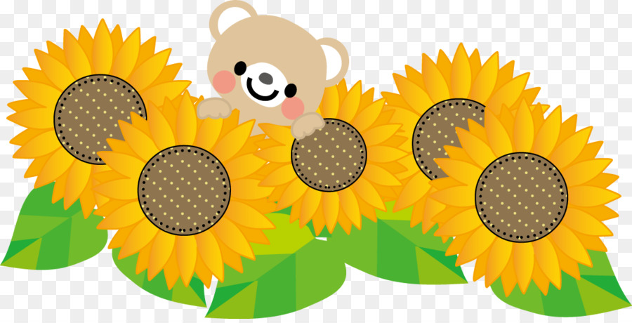 Girasoles，Oso PNG