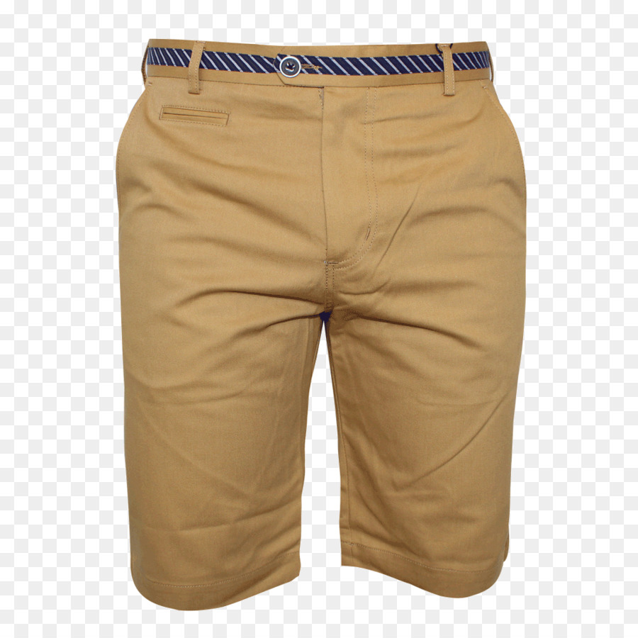 Bermudas，Bañador PNG