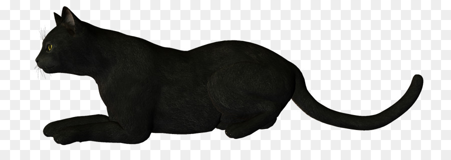 Gato Negro，Mascota PNG