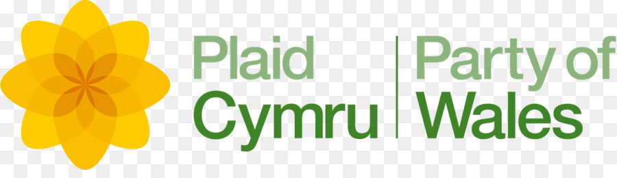 Gales，Plaid Cymru PNG