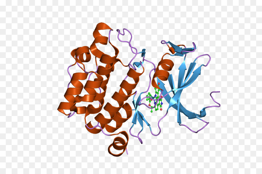 Estructura De La Proteína，Molécula PNG