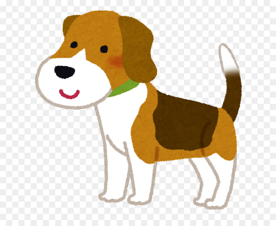 Beagle，Cachorro PNG