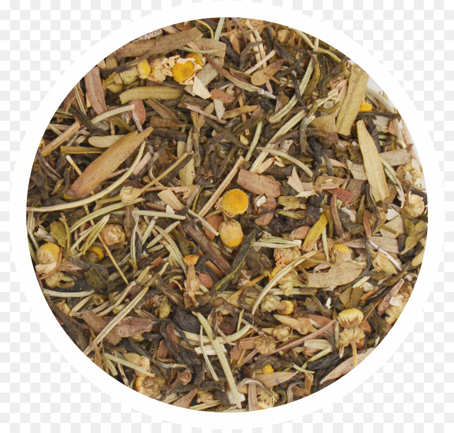 Té，Rooibos PNG