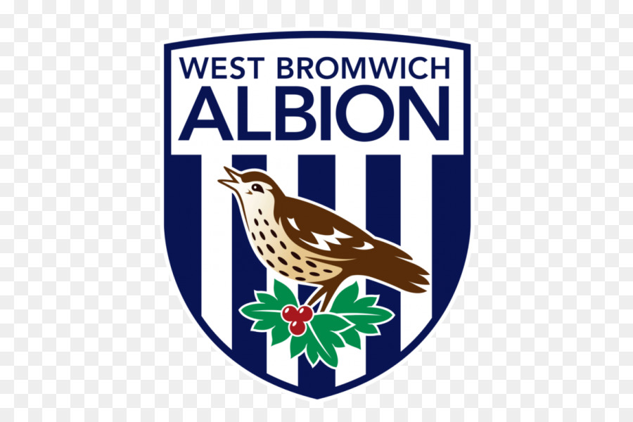 West Bromwich Albión，Fútbol Americano PNG