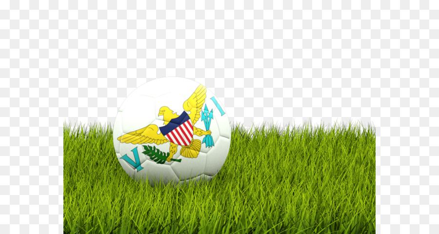 Fútbol，Campo De Fútbol PNG