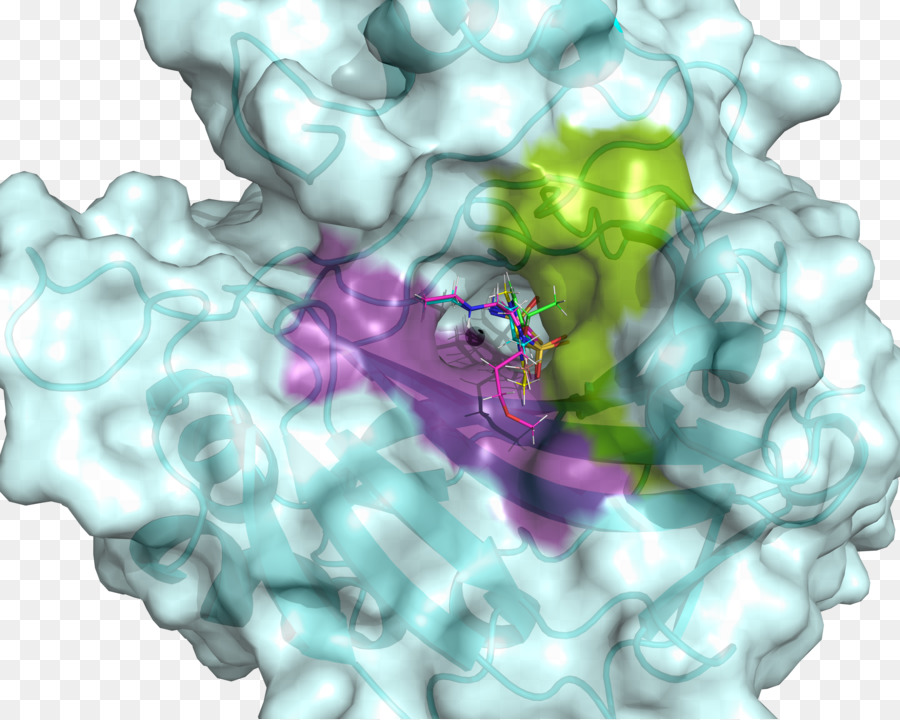 Bioquímica，Hidrófobo PNG