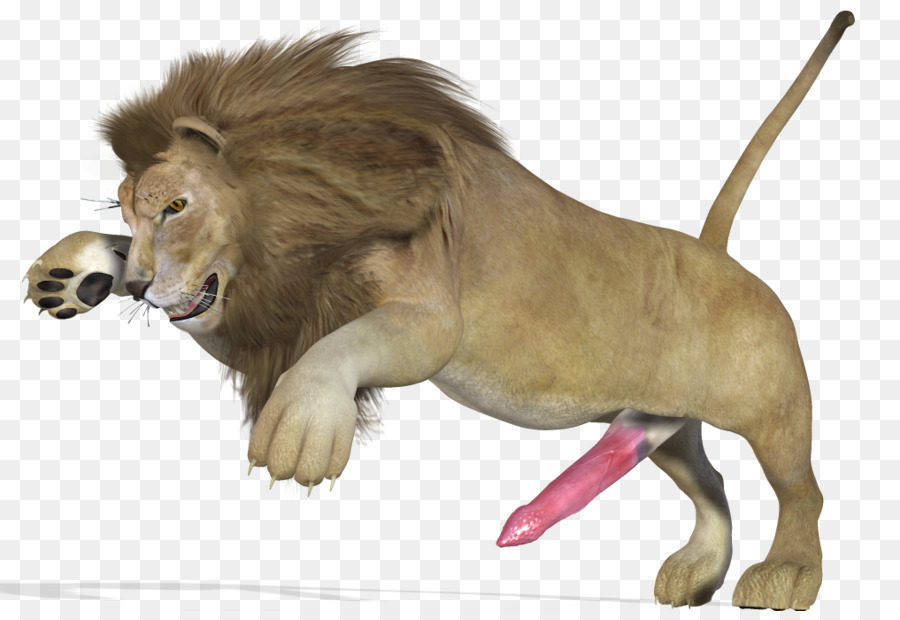 León，Animal PNG