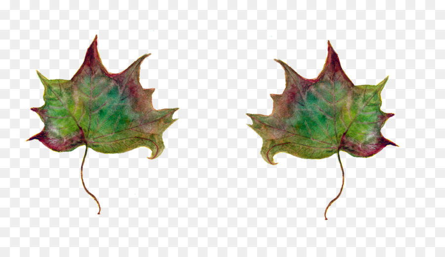 Hojas De Otoño，Caer PNG