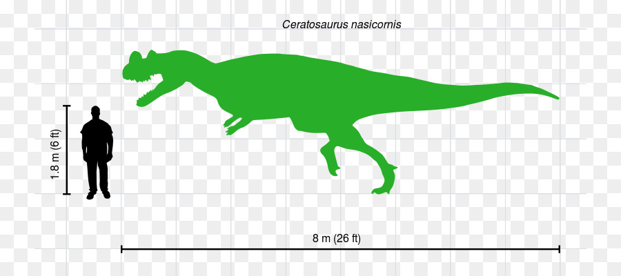 Ceratosaurus，Allosaurus PNG