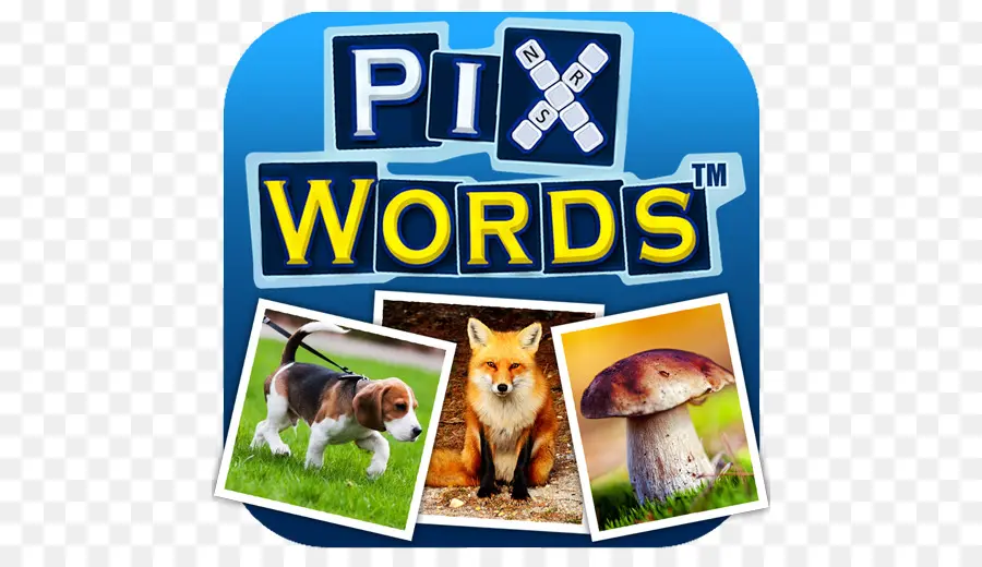 Pixwords ™，Escenas De Pixwords PNG