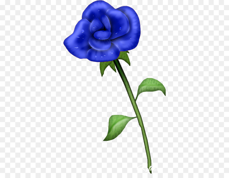 Rosa Azul，Florecer PNG