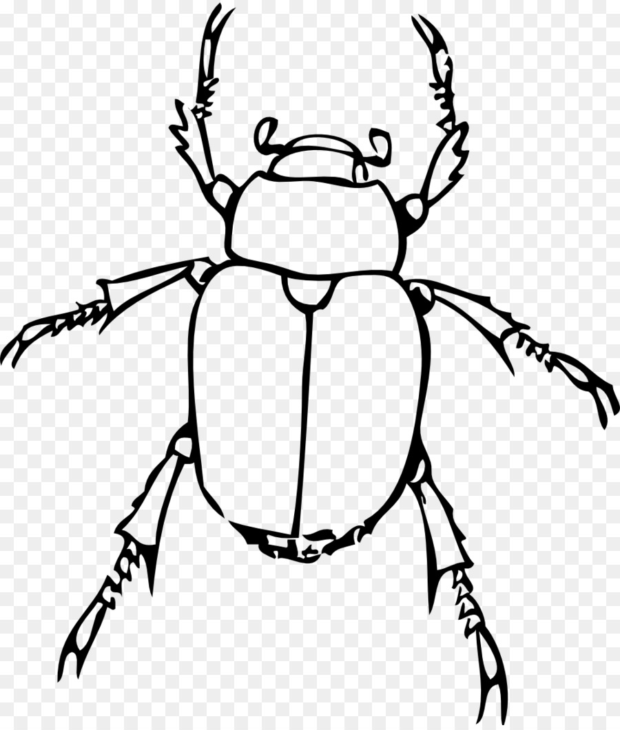 Insecto，Dibujo PNG