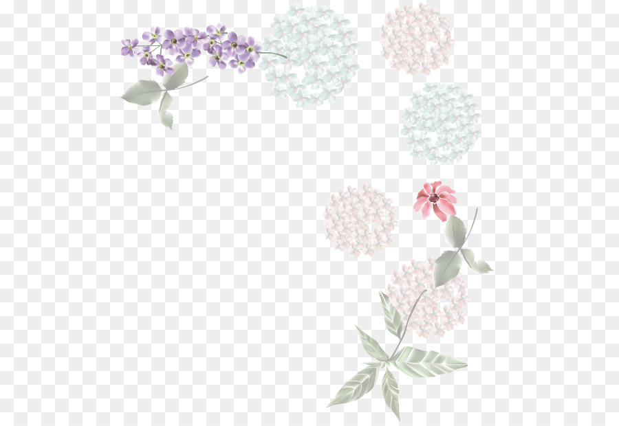 Diseño Floral，La Floración De La Planta PNG