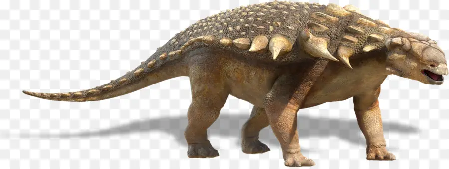 Edmontonia，Nodosaurus PNG