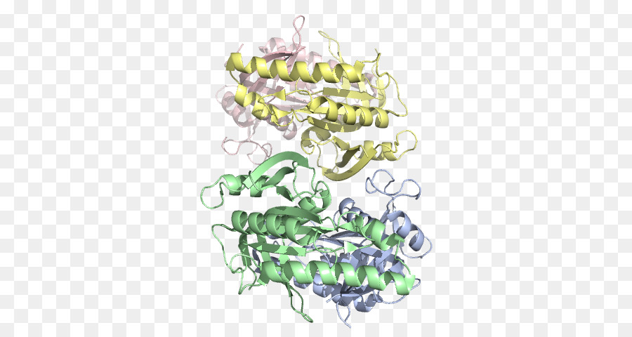 Estructura Proteica，Molécula PNG