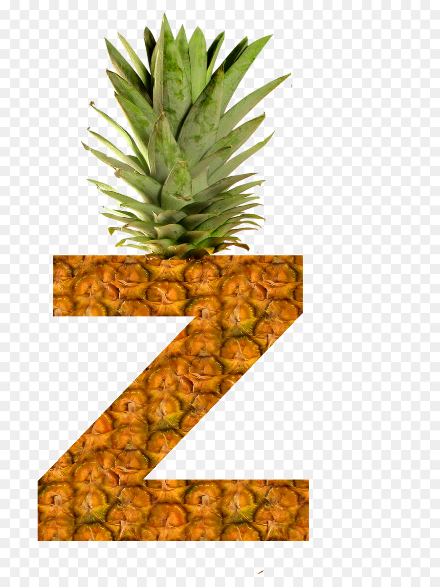 Piña，Succade PNG