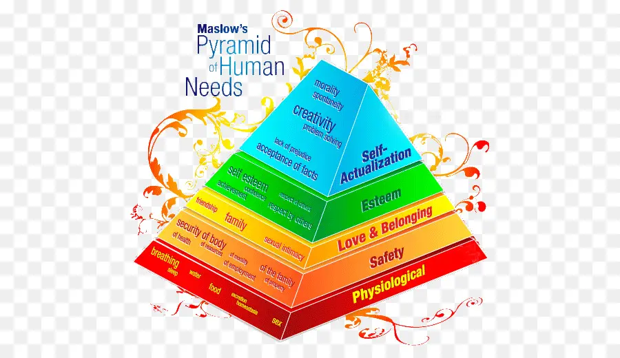 Jerarquía De Necesidades De Maslow，Necesidad PNG