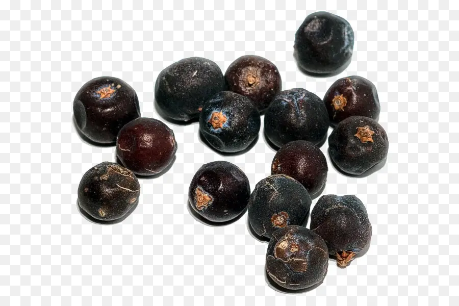 Bayas De Enebro，Fruta PNG