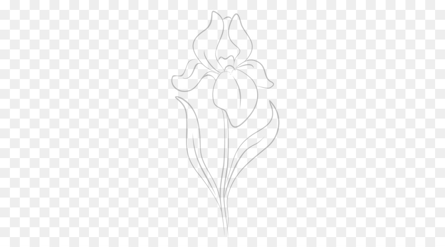 Dibujo，Diseño Floral PNG