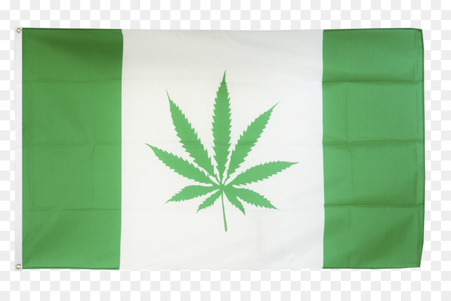 Nueva Zelanda，Bandera De Nueva Zelanda PNG