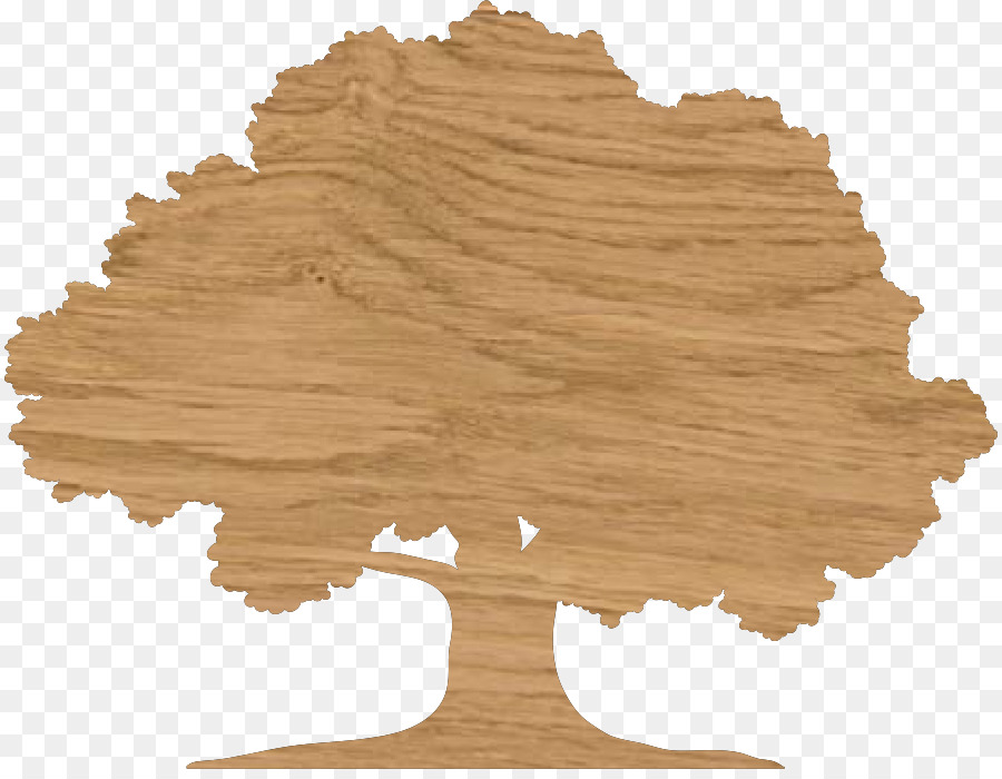 Dibujo，Árbol PNG