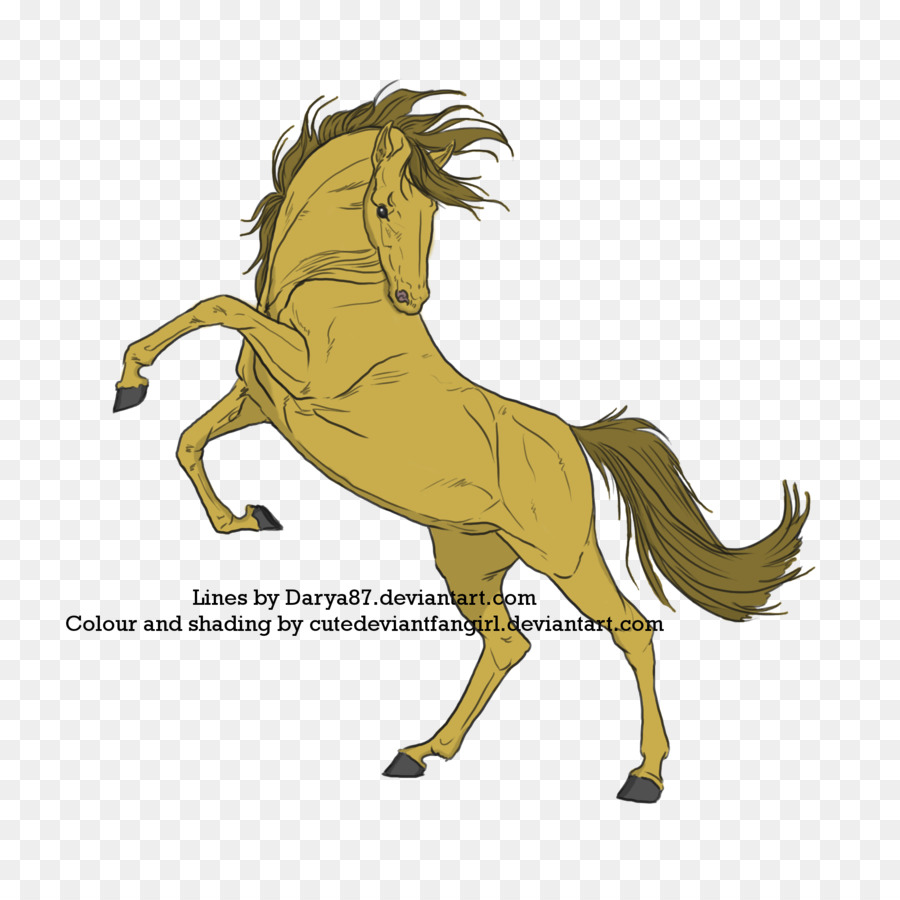 Mustang，Pony PNG