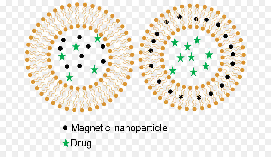 La Entrega De La Droga，La Hipertermia Magnética PNG