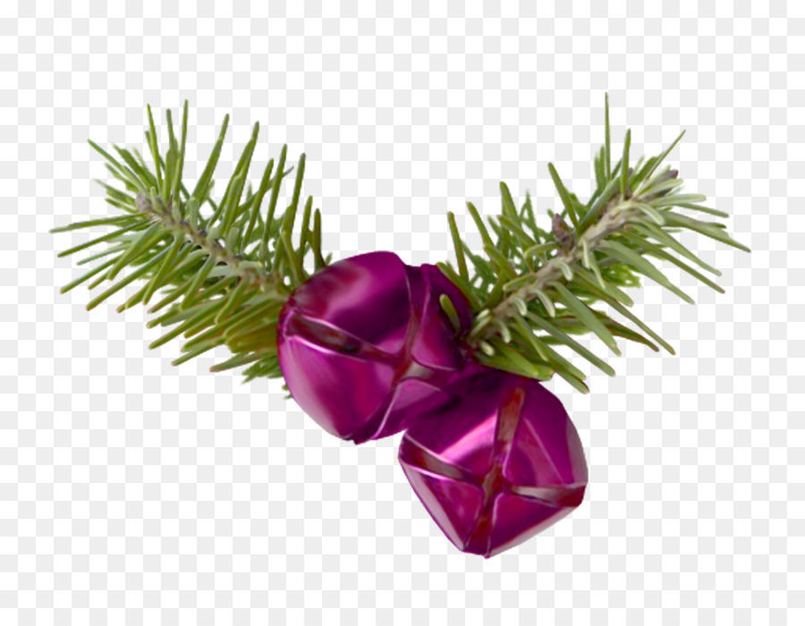 Campanas De Navidad，Pino PNG