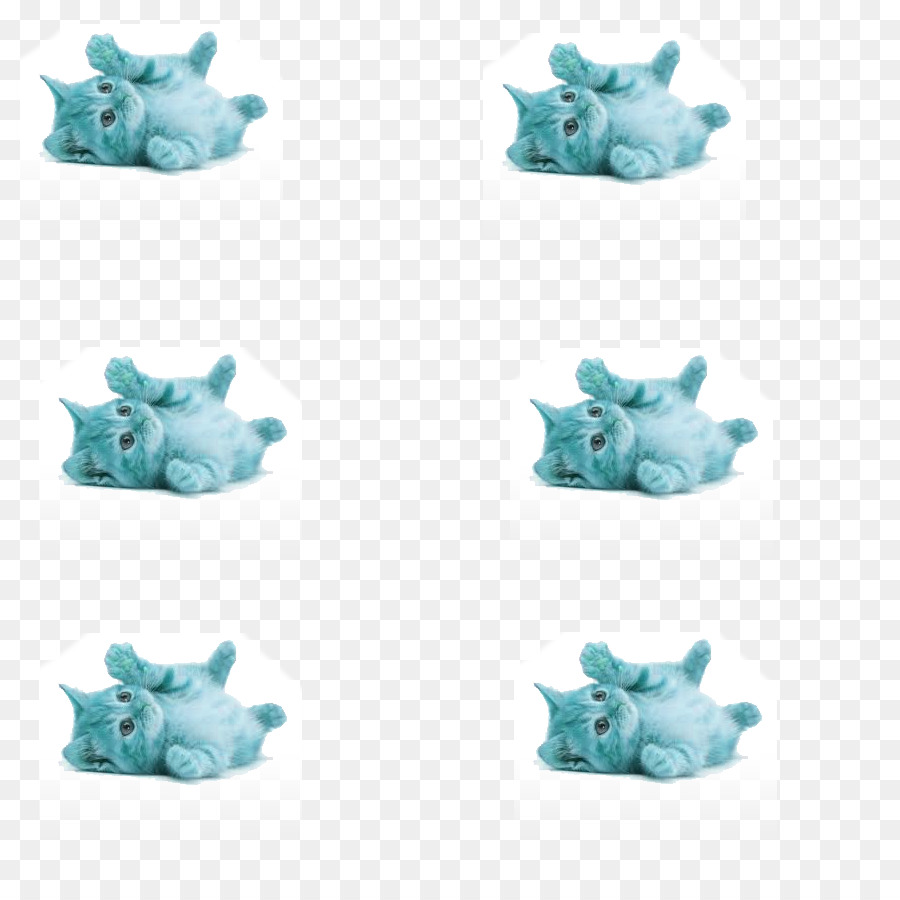 Gatito，Turquesa PNG