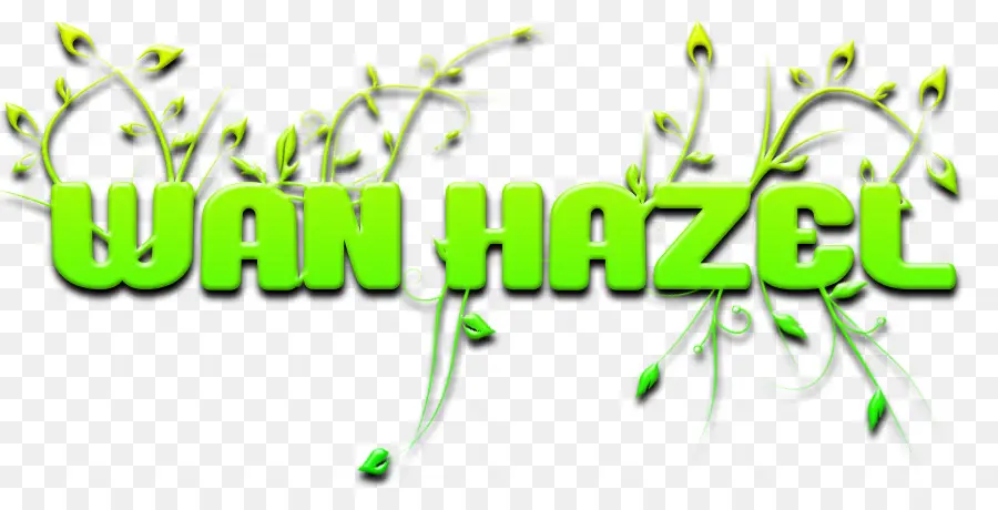 Texto De Wan Hazel，Nombre PNG