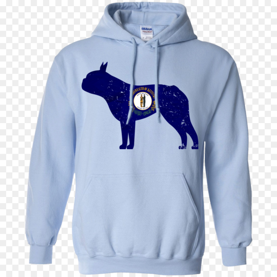 Camiseta，Sudadera Con Capucha PNG