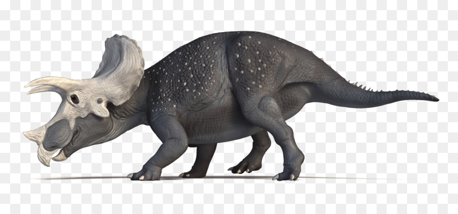 Dinosaurio，Tyrannosaurus PNG