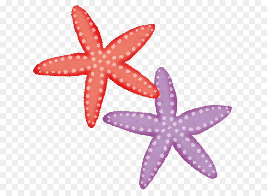 Estrella De Mar，Mar PNG