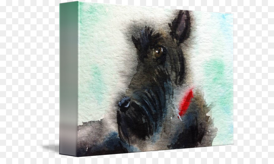 Scottish Terrier，El Jabalí PNG