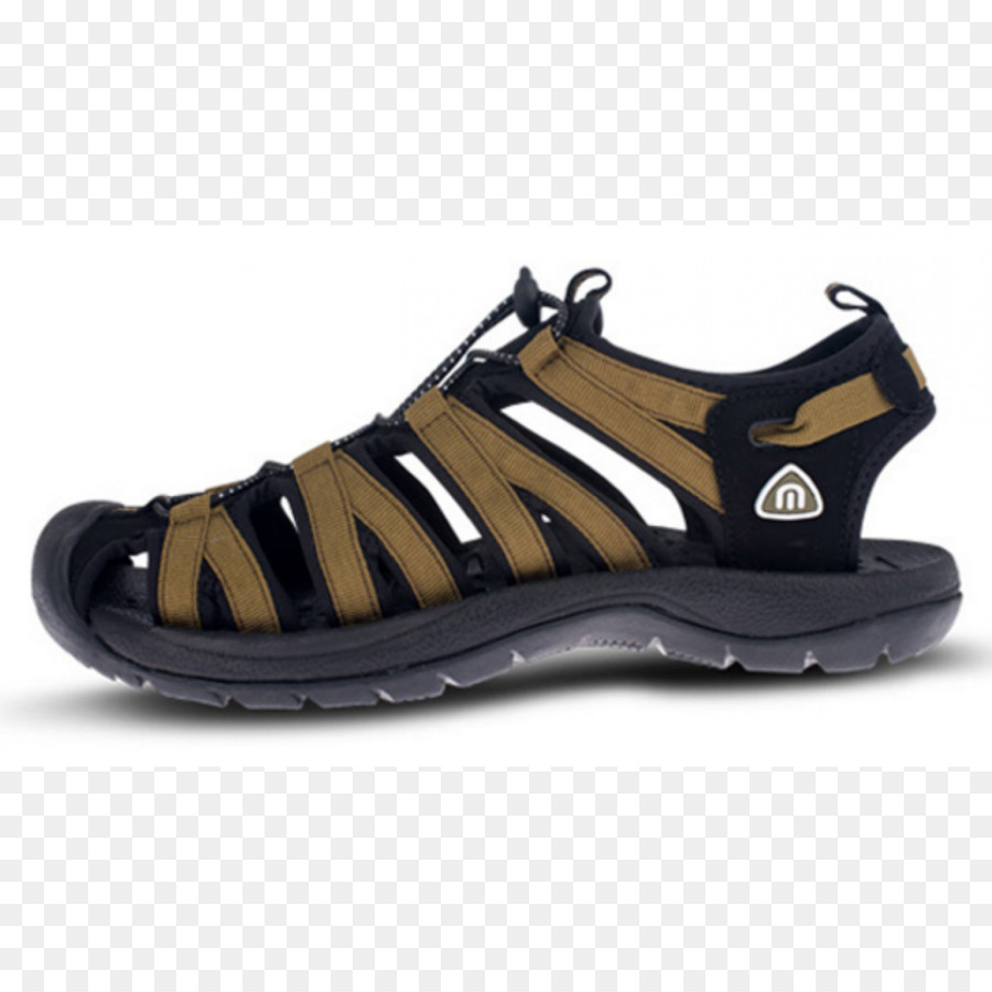 Zapatilla，Sandalia PNG