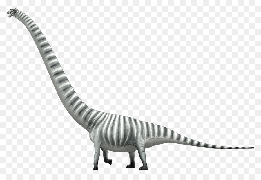 Dinosaurio De Cuello Largo，Prehistórico PNG