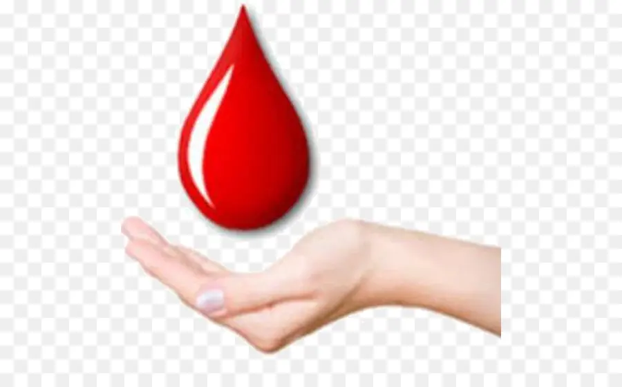 La Donación De Sangre，Banco De Sangre PNG