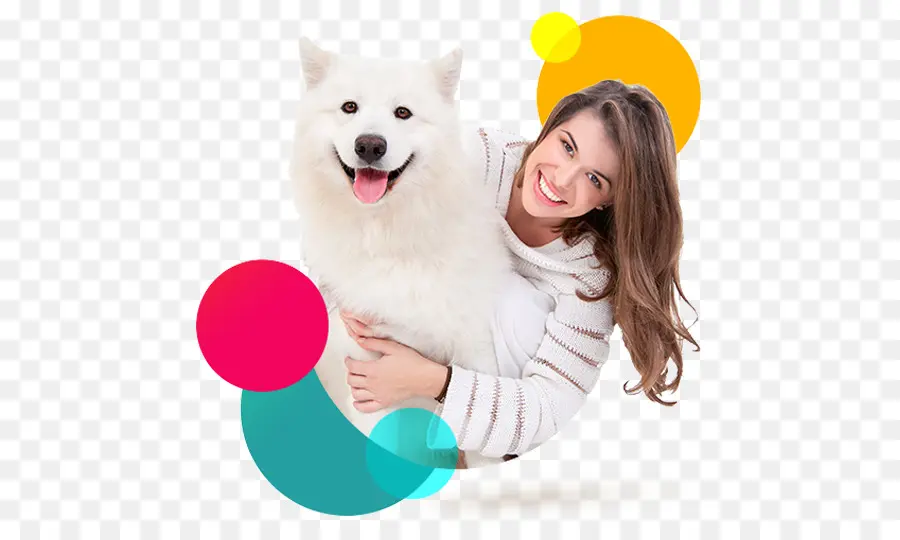 Perro，Gato PNG