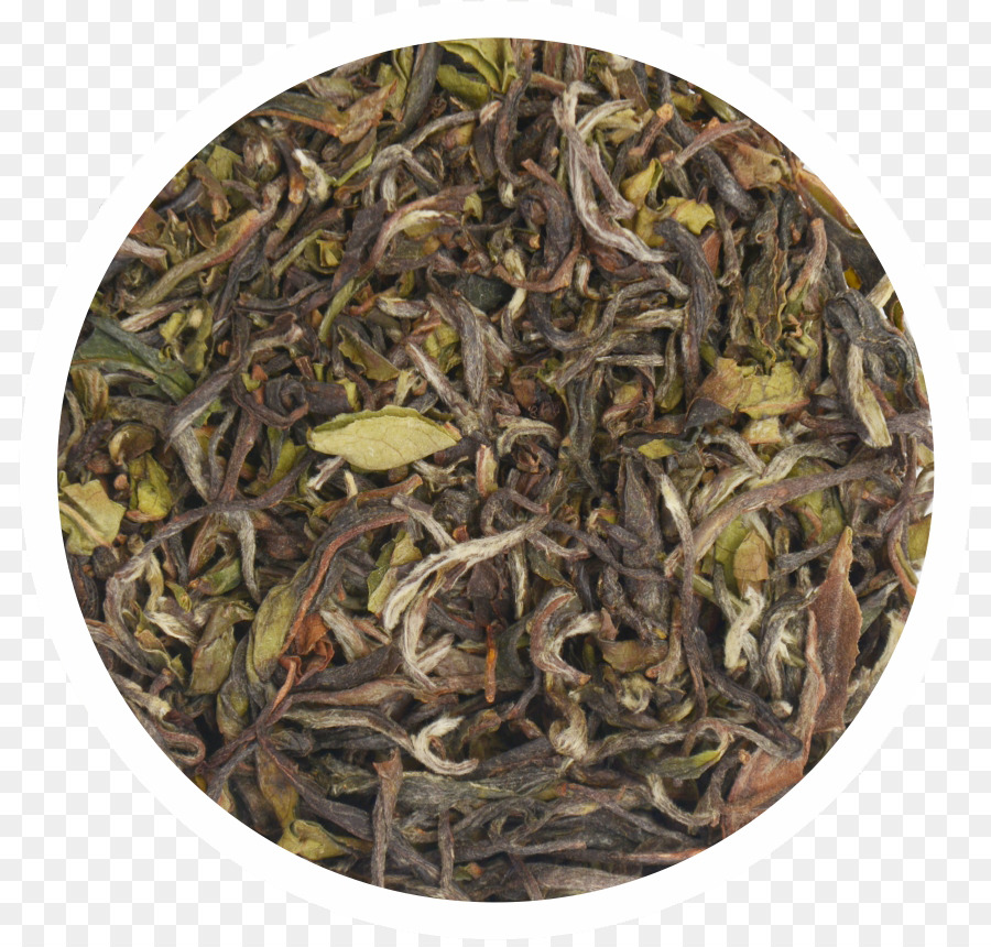 Té，Té Verde PNG