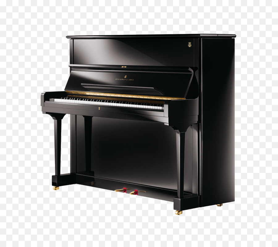 Steinway Hall，Steinway Vertegrand PNG