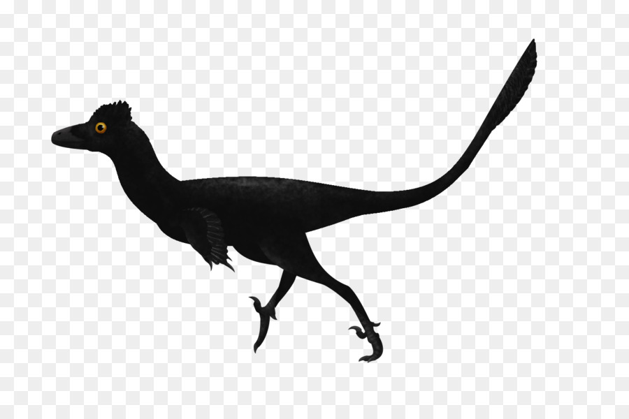 Troodon，Velociraptor PNG