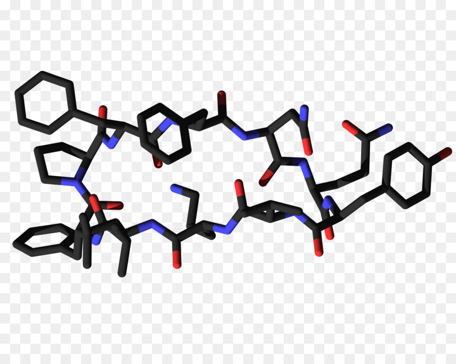 Tyrocidine，Aminoácido PNG