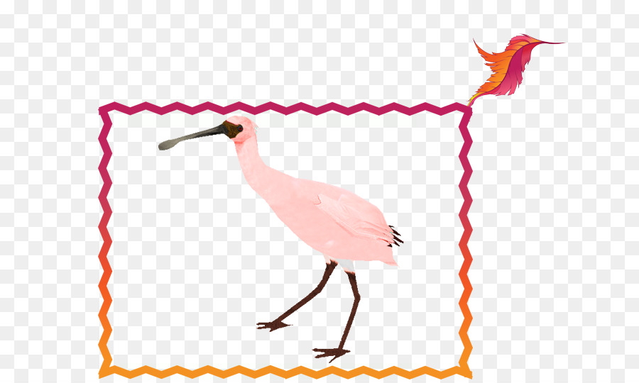 Pico，Aves PNG