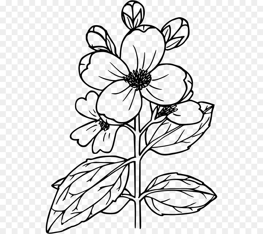 Flor，Dibujo PNG